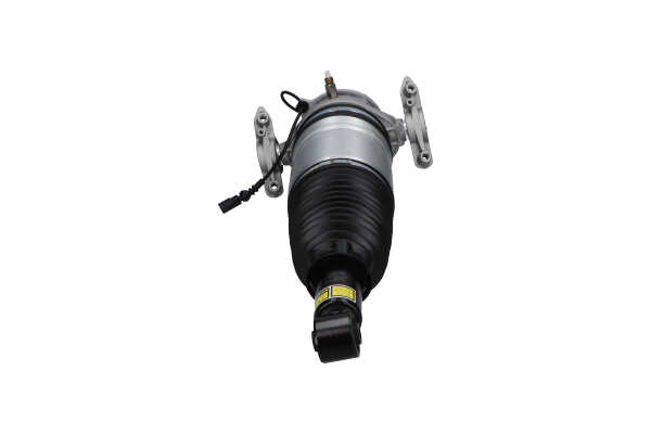 SAS-10041 Stoßdämpfer KAVO PARTS 7P6616020H AUDI