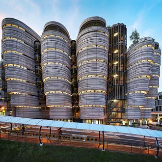 The Global Danger of Boring Buildings