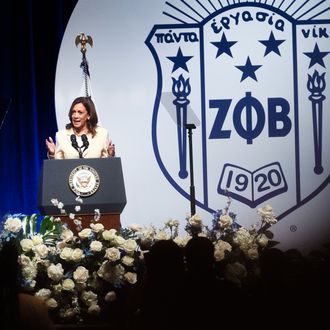 Black Sororities and Fraternities Are Mobilizing Online and in Secret Chats for Voter Turnout