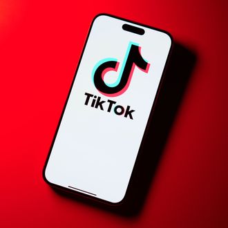 eBay Sellers Are Hawking Used Phones With TikTok Preinstalled for Thousands of Dollars