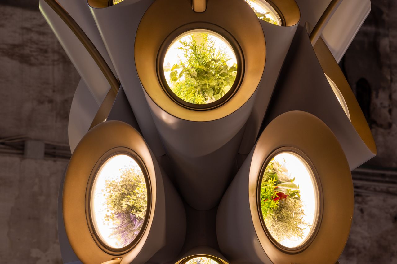 The Plan to Send Plant-Filled ‘Gardens’ Into Orbit