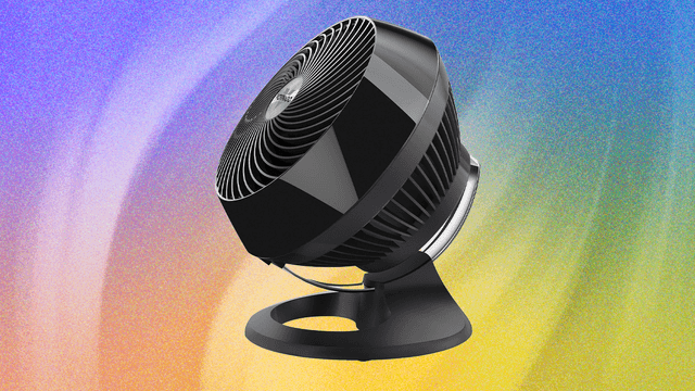 The 15 Best Fans for Every Use
