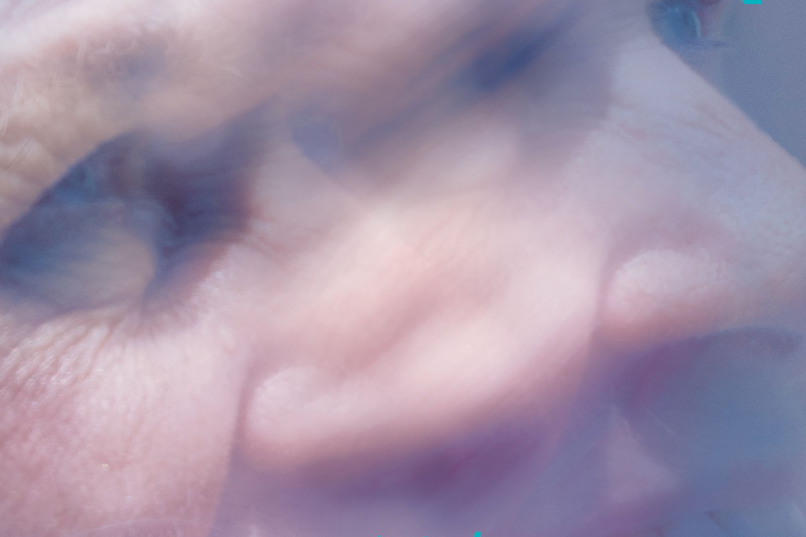 The Next Thing You Smell Could Ruin Your Life