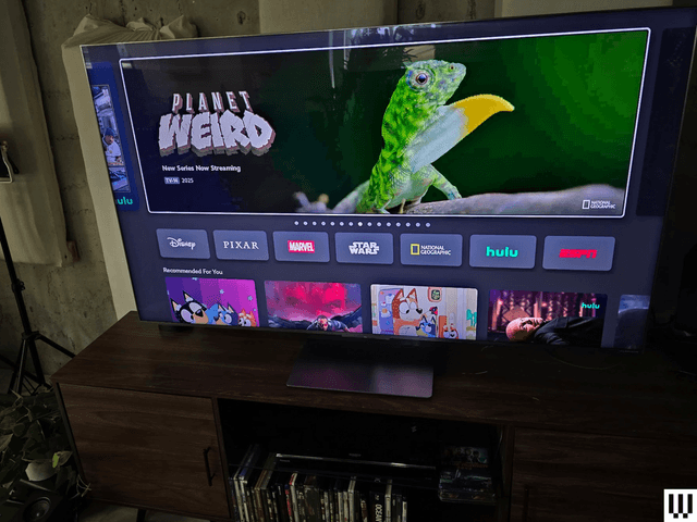 Image may contain Computer Hardware Electronics Hardware Monitor Screen TV Animal Lizard and Reptile