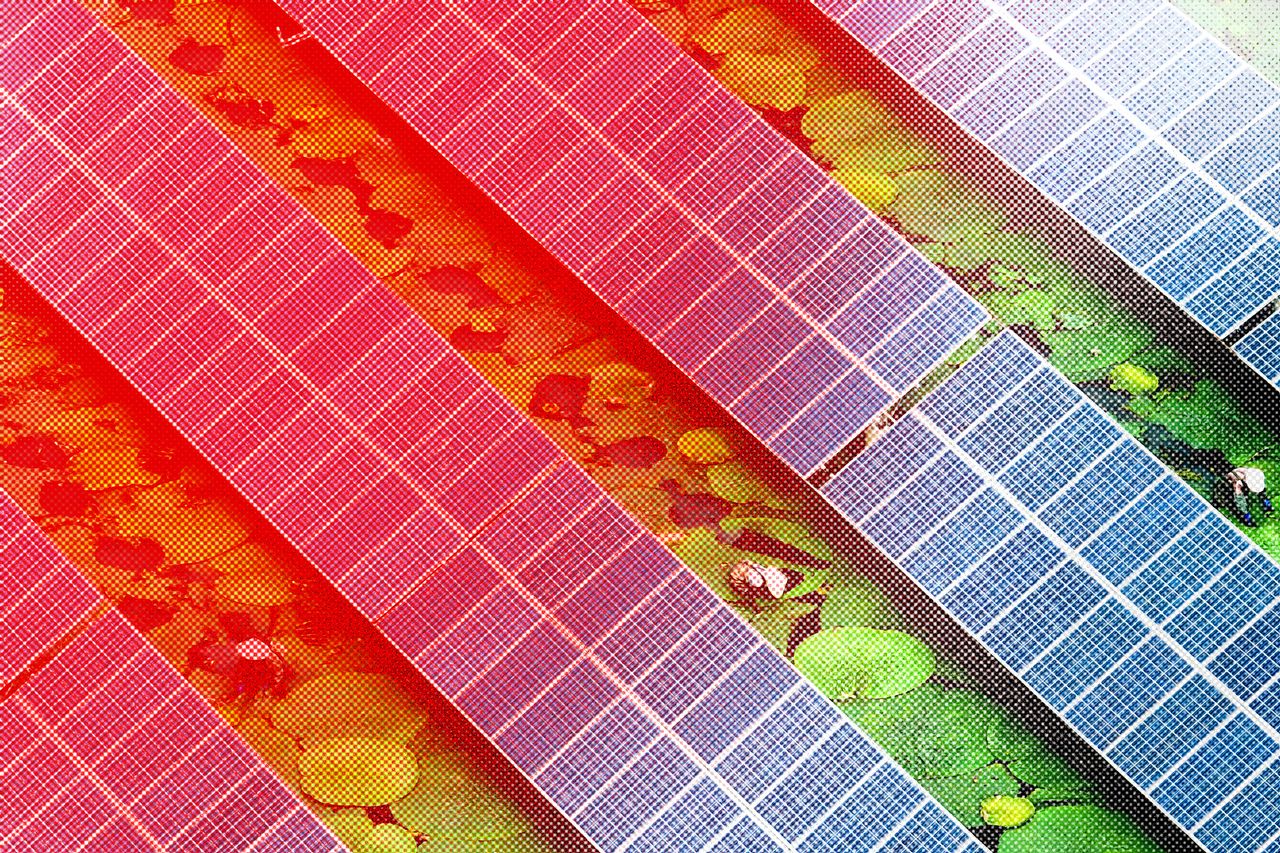 Africa Is Buying a Record Number of Chinese Solar Panels