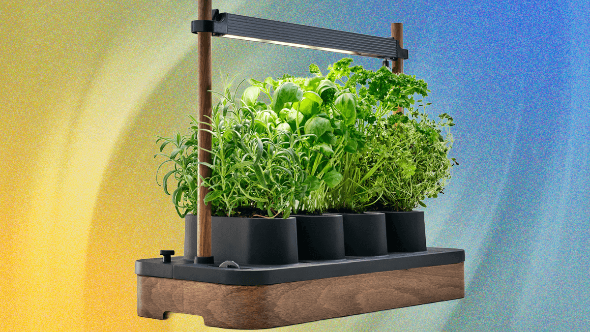 Sow Your Own Seeds With the Auk Mini's Stylish Countertop Garden