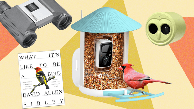 The 15 Best Gifts for Bird Lovers