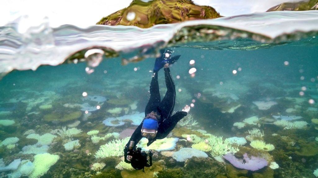 The World’s Oceans Are Hurtling Toward a Breaking Point