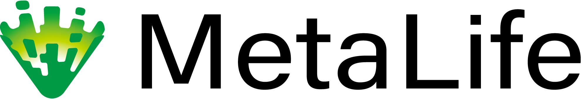 MetaLife