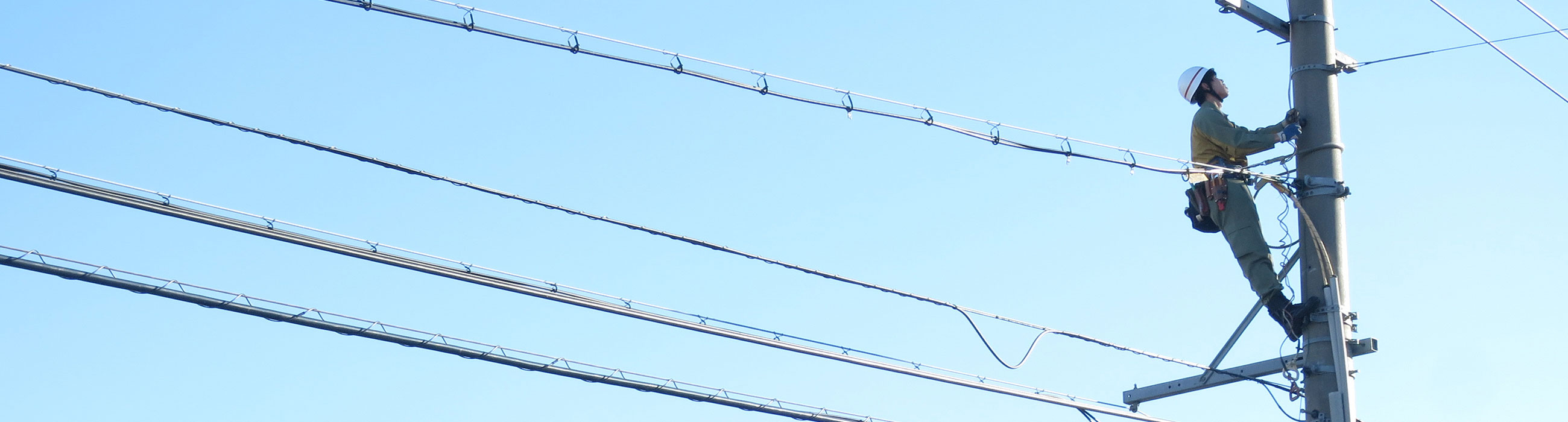 各種手続きに関する情報等を掲載しております。
