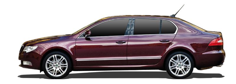 2.0 TDI 4x4 170 PS Diesel 2008 - 2015