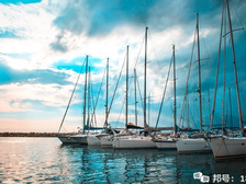 海运提单和海运单的区别在哪?