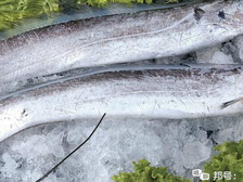 带鱼进口需要的资料有哪些/带鱼进口报关分享