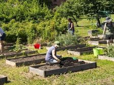 月访问量超百万!这个园艺用品独立站用为何那么火?