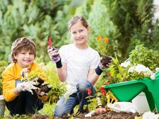 小花园大市场,这三位园艺红人能为品牌带来惊喜