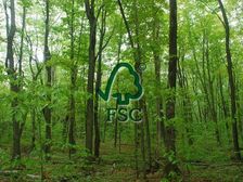 如何建立符合FSC认证的追溯系统