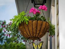 从园艺工具到DIY装饰,月销7000+单小众品类正疯狂吸金