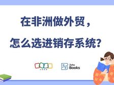 在非洲做外贸生意,想要挑选合适的进销存系统,需要考虑哪些?
