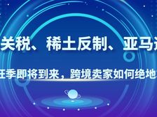 100%关税、稀土反制、亚马逊加费:2025旺季,跨境卖家如何绝地求生?