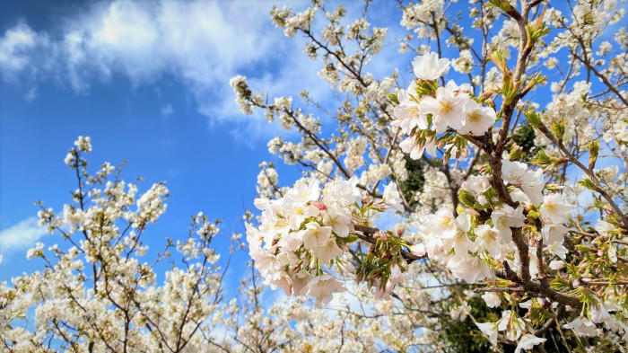 ブログイメージ