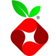 Pi-Hole Icon