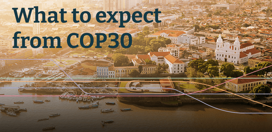 Read the What to expect from COP30 report