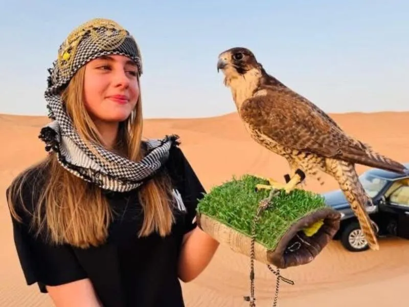 Falcon in Dubai desert perched on sand dunes during desert safari experience