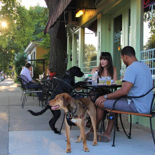 Exterior restaurant, daytime. A couple sits at a small table with two dogs. Trees and more people in the background.