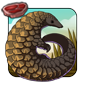 Pangolin