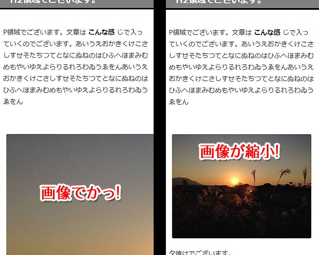 画像サイズ（左: 変更前・右: 変更後）